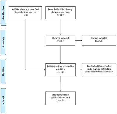 Endovascular Thrombolysis in Hypothenar Hammer Syndrome: A Systematic Review